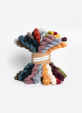 Blue Sky Fibers Woolstok Light 27 Bundle