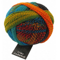 Schoppel Wolle Crazy Zauberball Yarn