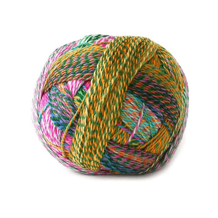 Schoppel Wolle Crazy Zauberball Yarn
