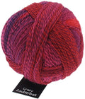 Schoppel Wolle Zauberball Starke 6 Yarn