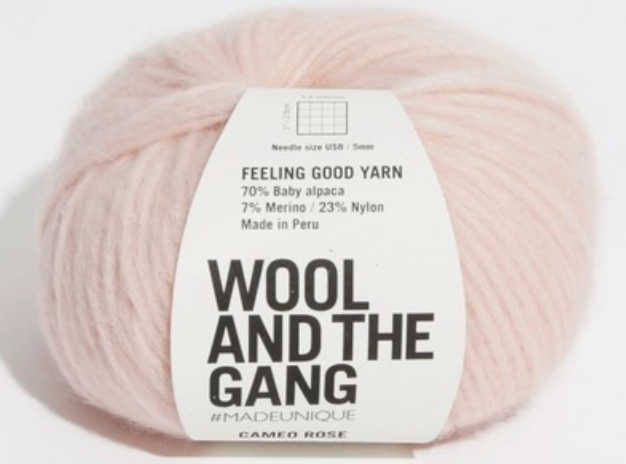 Wool And The Gang Feeling Good Yarn